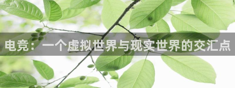 tf雷火电竞网页版：电竞：一个虚拟世界与现实世界的交汇点
