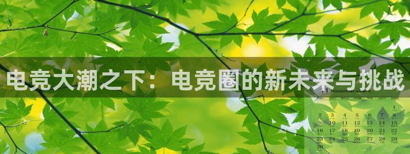 雷火电竞app官方网站：电竞大潮之下：电竞圈的新未来与挑战